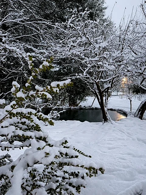 Jardín nevado en Bariloche