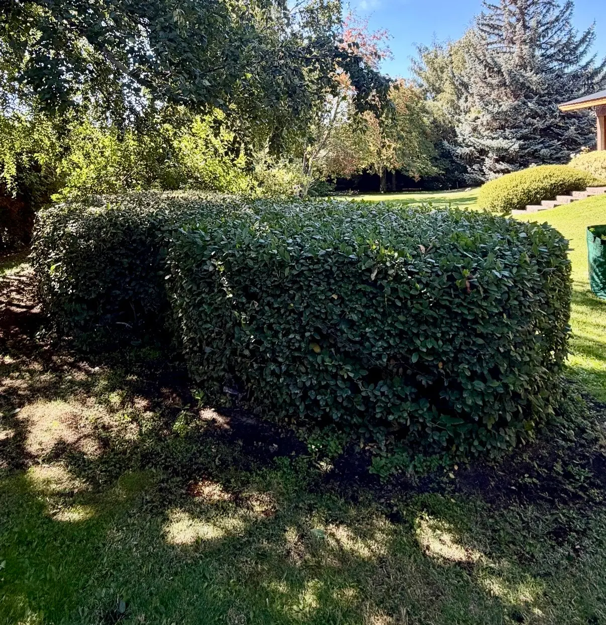 Mantenimiento de jardín