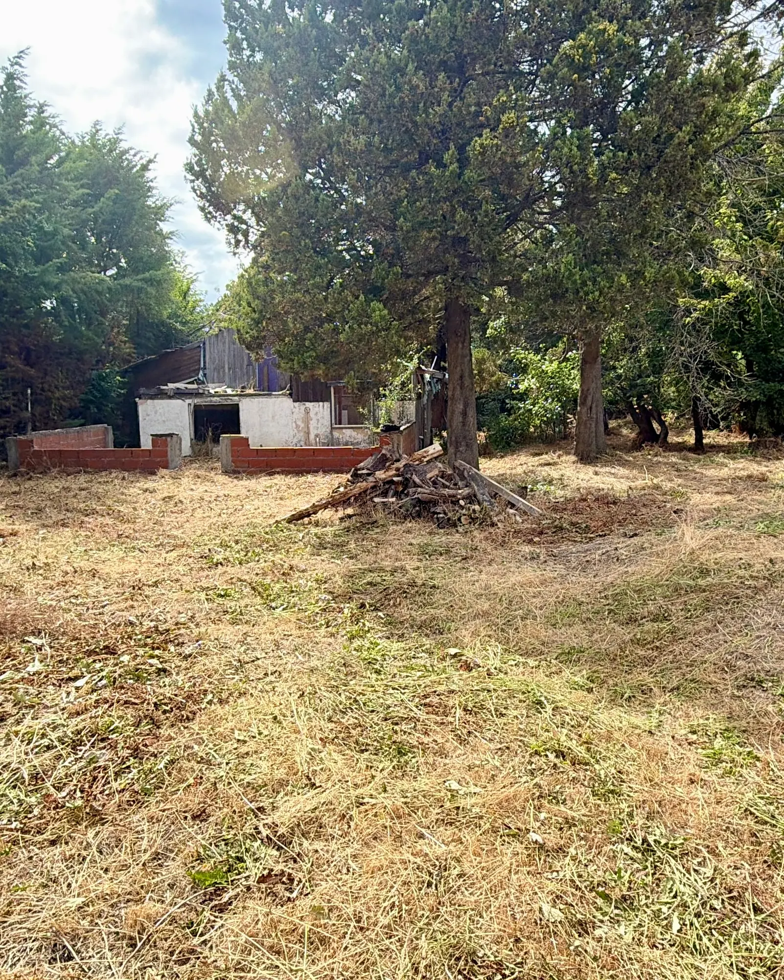 Limpieza de terreno